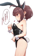 バニーきりたん