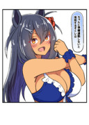 水着ヒシアマゾン