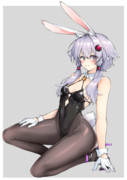 バニーゆかり