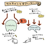 リクガメと水棲ガメのちがい