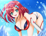ドルフィンウェーブ　入華ちゃん