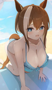 水着シュヴァル