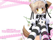 ねこねこ先生の応援イラストを預かりました 