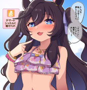 水着ヴィブロスの意味深な覚醒スキル名