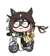 カブ乗りステゴ