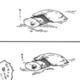 チラ見するクサガメ