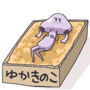 ベッドゆかりさん