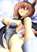 お願いしたら今回だけ好きな服を着てくれるアヤベさん(二着目)