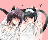 せーの、にゃ～ん(ФωФ)