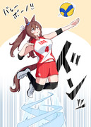 バレーボーノ！