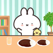 ハヤシライスの日だよ