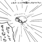 水槽のふちで甲羅干しするクサガメ