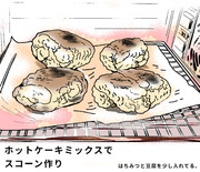 スコーンと寛政の改革