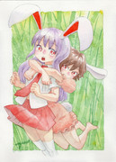 毎月17日と18日はイナバの日「つっかまえた！」