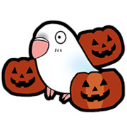 カボチャとインコ・その2