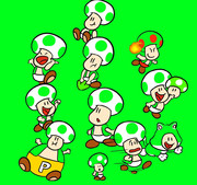 緑キノピオ green toad