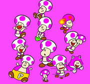 紫キノピオ purple toad