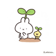 かいわれ大根の日