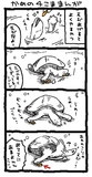 かめの４こま
