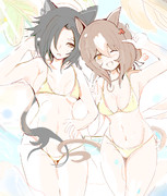 金ビキニファイシャカ