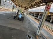 JR宇都宮駅にいたゼイユさん