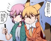 擦り寄りキタキツネ