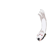 ろーでぃんぐ小夜ち