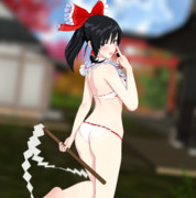 神社のガイド係