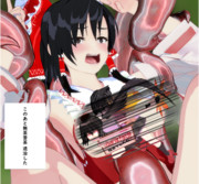 退治にてこずった霊夢ちゃん