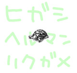ヒガシヘルマンリクガメ