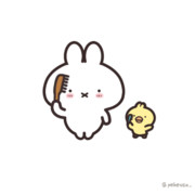 ヘアブラシの日だよ