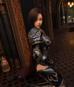 念願の強そうな鎧を装備した女戦士