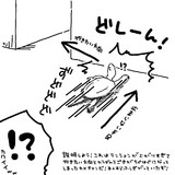 テンションが上がっちゃって行動がバグるクサガメ