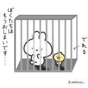 もうおしまいです