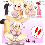 みんなの期待に応えてくれるフェネック