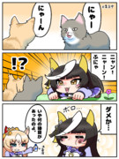 カルストンライトオ　猫です（自己暗示）