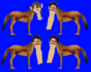 鼻フックイーンズスタリオン 1567番目 bb素材