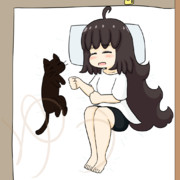 2025年11月28日猫と人の日