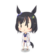 エイシンフラッシュ(水着)