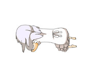 毎日めんま　１１にちめ