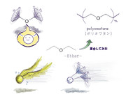 オワタ式構造式2+α