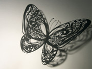 羽が擦り切れて折れる日まで