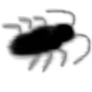 黒いもの。