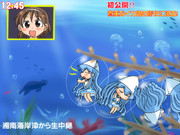 イカ娘のひみつ