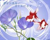 暑中お見舞い　2011