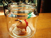 ハチャッピー捕まえた