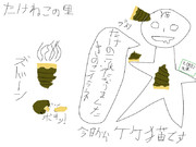 きのこ派の末路