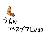 うちのマッスグマちゃん