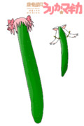 魔法胡瓜うり科☆マギカ