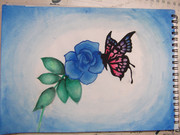 【アナログで】バラと蝶描いてみた
